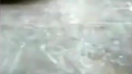 054101015F323F280F954CA4F0B81748?.jpg