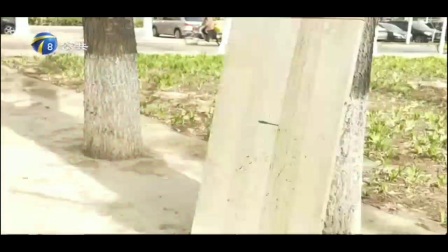 054104085AC805210000013C56071E03?.jpg