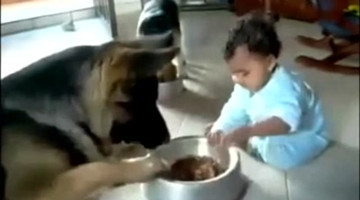 宝宝和小狗抢狗粮吃，太可爱了，瞬间萌化！