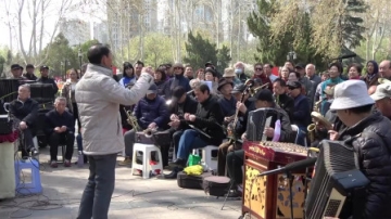 民间好声音，数百老人公园演唱《红梅赞》歌声悠扬，比原唱更赞