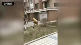 小伙竟这样恶搞 真是太坏了