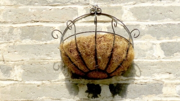 四川省广元市昭化古城 墙壁上人造鸟巢