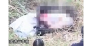 【拍客】男子杀死女友后藏尸行李箱抛草丛后自杀