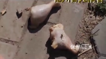 【拍客】车祸现场车翻人倒肉满地