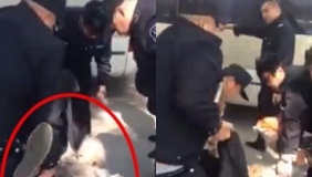 青岛市北区政府保安踢打白发老人 区委区政府领导登门道歉