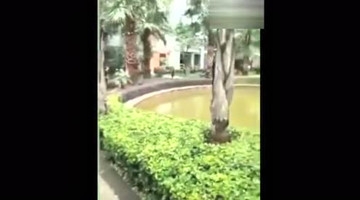 小伙爆笑恶搞！什么也不怕！笑晕！