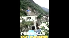 8岁女孩靠输血活命 养父养母决定为他寻亲