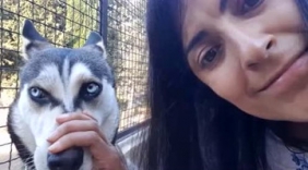 美女带着哈士奇自拍，二哈不好好照相就知道捣乱