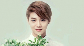 狼与美女舞蹈鹿晗登上韩国热搜榜，舞蹈雷人