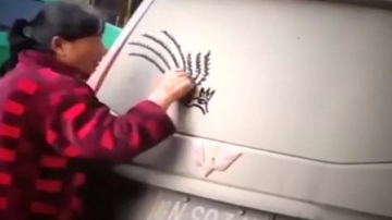 高手在民间 大妈在车上一阵乱画 这还让不让人洗车了 厉害了。