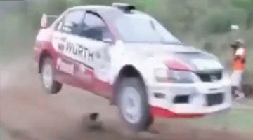 小狗误闯拉力赛车道 下一秒画面太震撼