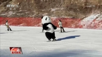 高手在民间