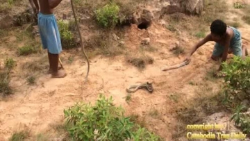 致富：小伙回农村用800元，年赚百万，他是怎么做到的