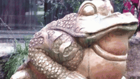 40年同学情：游四川成都邛崃市平乐古镇水景街