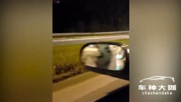 深夜，马路上发现一只庞然大物