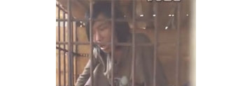 【拍客】实拍悲惨男子被关笼中七个月