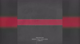 Electronic澳洲DJ Kronic联手美国男声Evan