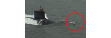 【拍客】海豚与潜艇在大海赛跑 开启疯狂飙车模式