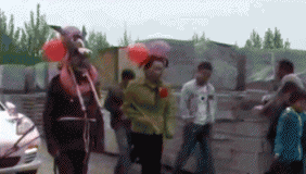 实拍新人父母扮毛驴拉婚车 有人持鞭赶车去接新娘