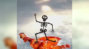 凤凰变烤鸡，笑死了