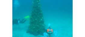【拍客】日本推出海底圣诞树 潜水者可享受水中圣诞