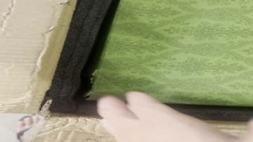 实拍视频反馈