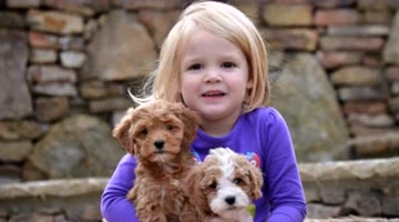 可爱的宝宝和超萌的狗狗玩耍，真想去抱一抱