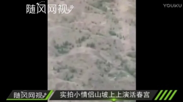 实拍小情侣山坡上上演活春宫 全过程被两女孩拍摄