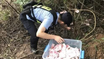 53名赌博男女深山中被抓 百元大钞捡了一箩筐