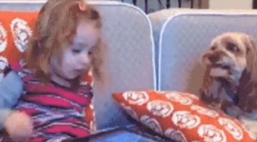 汪星人监督熊娃比父母管用！睡什么睡起来嗨！