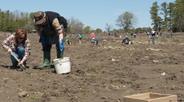  公园遍地钻石谁挖到归谁
