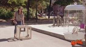 正妹帮忙照看鸟笼 意外将鸽子放飞大自然