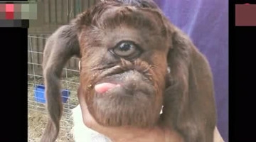 天下奇闻，无奇不有，这些东西竟然都长了一只眼