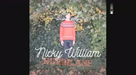 Pop 瑞典民谣男声Nicky