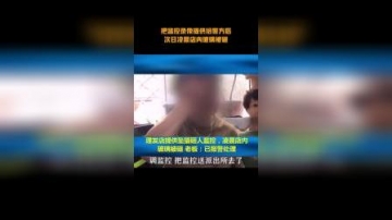 理发店提供坠猫砸人监控 凌晨店内玻璃被砸 老板：已报警处理