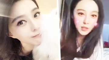 陈晓微信头像曝光 猝不及防吃了一口狗粮