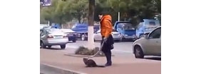 【拍客】实拍奇葩女汉子用围巾遛猫