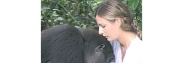 【拍客】女子与大猩猩分离12载重逢 深情相拥场面催人泪下