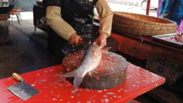 高手在民间：衡阳鱼丸店老板的杀鱼神技好生了得，怪不得鱼丸好吃