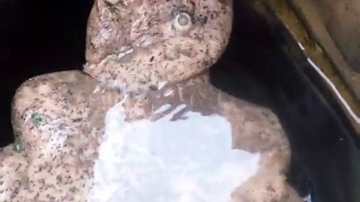 《奇闻异事》18年7月甘肃临洮发现不明物种！眼睛，耳朵，排泄孔都有！就是不知何物！