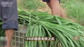 小伙毕业回乡相亲50次都失败，谁知三年后竟成了当地的千万富翁