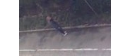 【拍客】上海理工彪悍小三儿门
