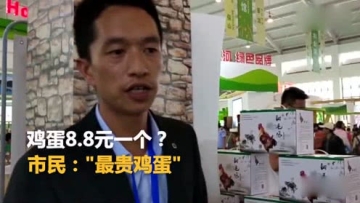 “最贵”鸡蛋免费吃 系濒临灭绝的稀缺品种