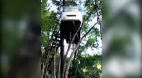 男子为圆“树屋”梦 将面包车挂上五米高树上