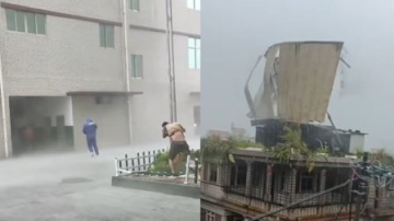 狂风呼啸，大树倾倒！实拍台风“杜苏芮”登陆前后画面