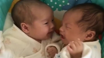 萌娃：双胞胎宝宝抱在一起睡觉，两个人都以为吃的来了，互咬了起来