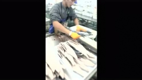 小伙刀工不错被老板一眼看中，直接9800块一个月，羡慕