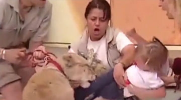可怕！电视直播母狮突然暴走现场抓咬宝宝