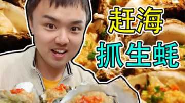 【vlog】赶海！赶海！赶海！嘶~真香~
