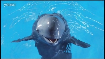 CCTV公益广告：保护江豚-濮存昕篇